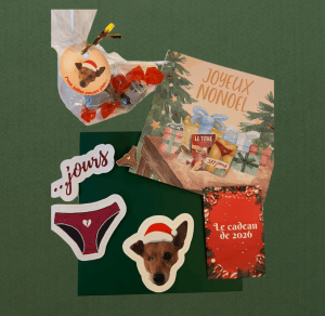 Enveloppe de Nonoël Goodies Mary